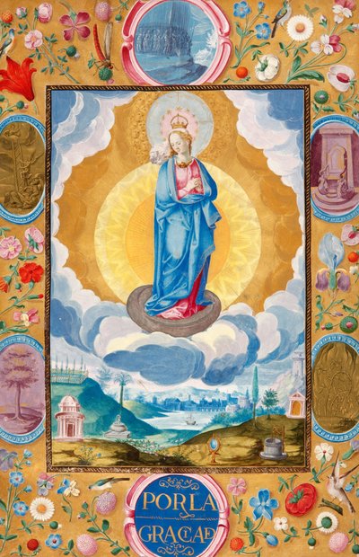 Immacolata Concezione nel documento esecutivo di cavalleria di Arias Pardo de Cela da Diego Gómez